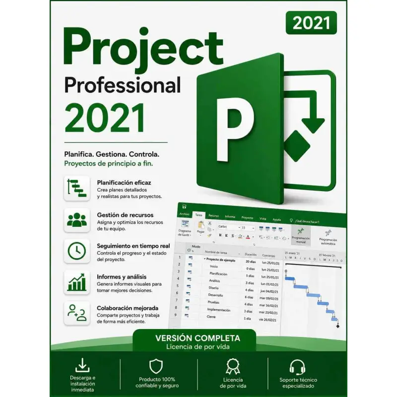 Project Professional 2021 para 1 PC