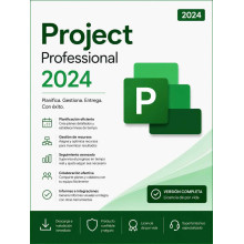 Project Professional 2024