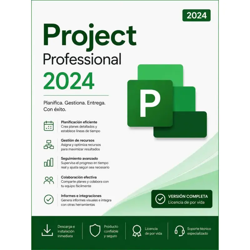 Microsoft Project Professional 2024