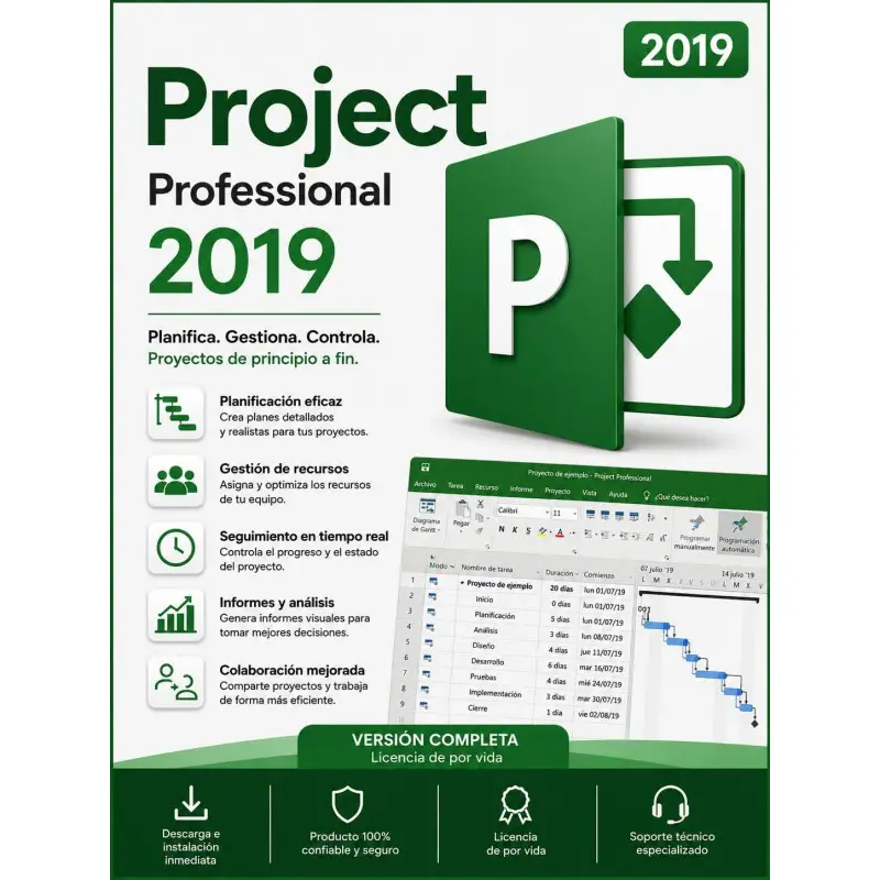 Project Professional 2019
