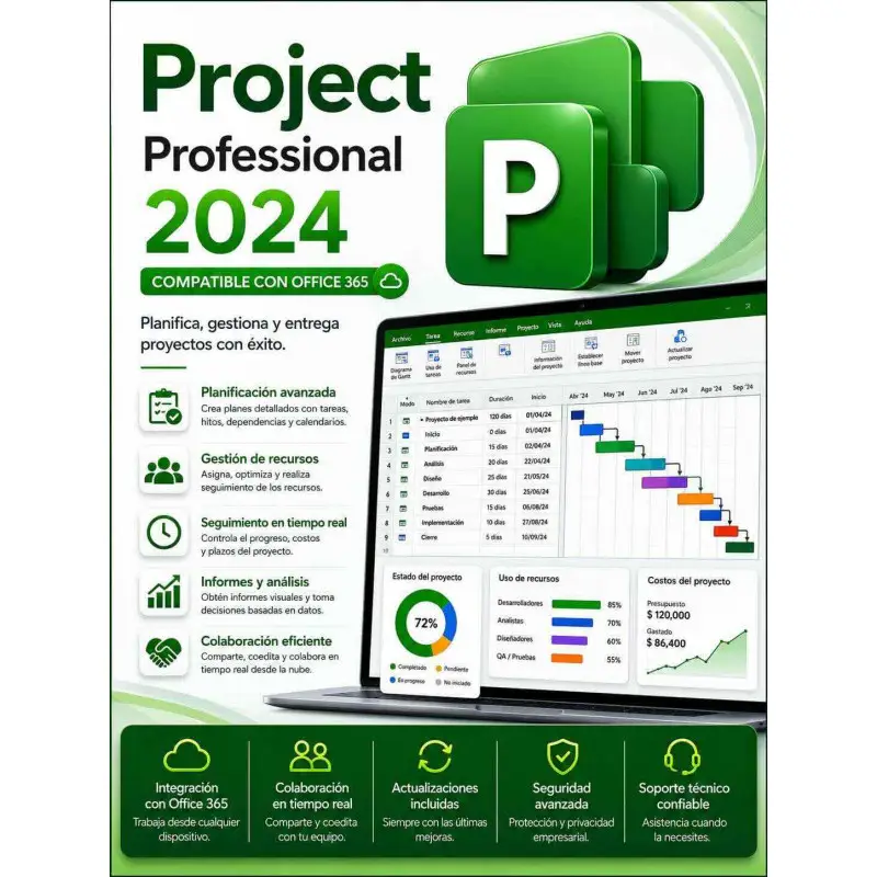 Microsoft Project Professional 2024 (compatible con Office 365)