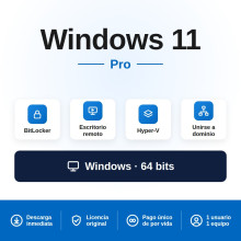 Windows 11 Pro (1 PC)