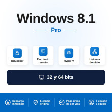 Windows 8.1 Pro