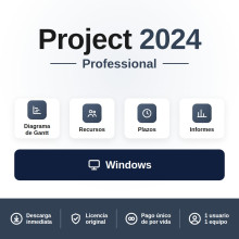 Project Professional 2024