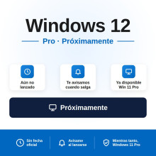 WINDOWS 12 PRO para 1 PC