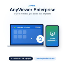 AnyViewer Enterprise