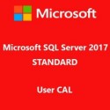 Microsoft SQL Server 2017 Standard User CAL