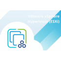 VMware vSphere Hypervisor (ESXi) 8