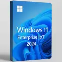 Windows 11 Enterprise IOT 2024 LTSC